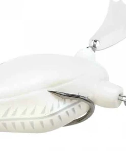 Teckel Frogs Honker Frog