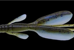 Nories Escape Twin 23 Nories Escape Twin