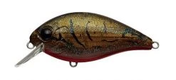 Evergreen USA SH-3 Squarebill Crankbait