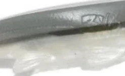 3:16 Lure Company Shad 13 3:16 Lure Company Shad