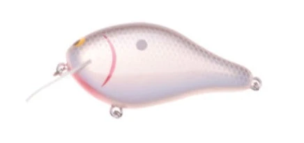 Ima Shaker 12 Ima Shaker