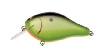 Ima Shaker 6 Ima Shaker