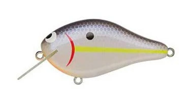 Ima Shaker 3 Ima Shaker