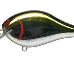 Ima Shaker 13 Ima Shaker