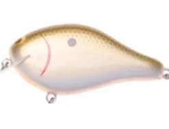 Ima Shaker 14 Ima Shaker