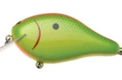 Ima Shaker 16 Ima Shaker