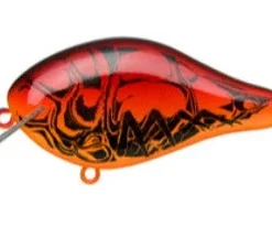 Ima Shaker 17 Ima Shaker