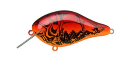 Ima Shaker 8 Ima Shaker