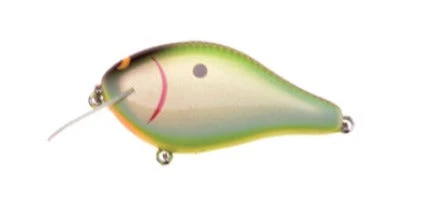 Ima Shaker 10 Ima Shaker