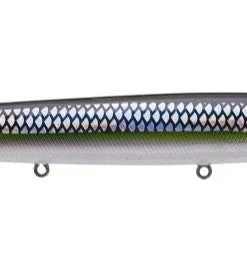 Ima Little Stick Walking 24 Ima Little Stick Walking