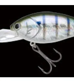 Nories Deep Diving (15 Ft.+) Shot Over 5