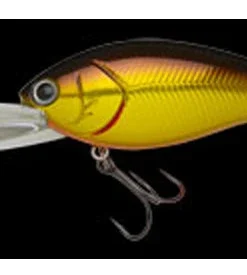 Nories Shot Over 4 Medium Diving (8-14ft.)