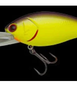 Nories Deep Diving (15 Ft.+) Shot Over 5