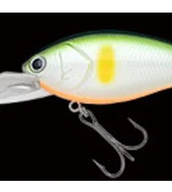 Nories Deep Diving (15 Ft.+) Shot Over 5