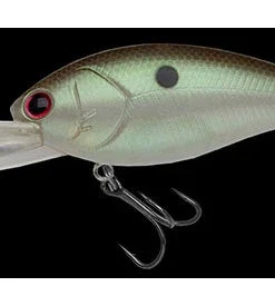 Nories Deep Diving (15 Ft.+) Shot Over 5