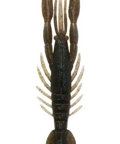 Bottom Up Hurry Shrimp