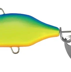 Duo Realis Spin 29 Duo Realis Spin