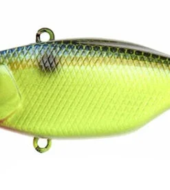 Jackall Lipless TN Disk Knocker 20 Jackall Lipless TN Disk Knocker