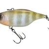 Jackall TN60 Skull Shell Lipless 2 Jackall TN60 Skull Shell Lipless