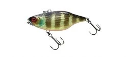 Jackall TN70 Skull Shell Lipless
