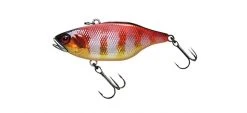 Jackall TN70 Skull Shell Lipless