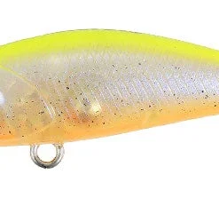 Duo Realis Tetra Works Toto 42S