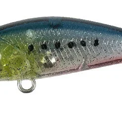 Duo Realis Tetra Works Toto 42S