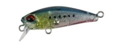 Duo Realis Tetra Works Toto 42S