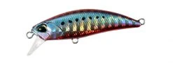 Duo Realis Tetra Works Toto 42S
