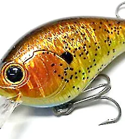 Mibro Warloq Shallow Diving (0-7ft.)