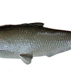 Huddleston Deluxe Weedless Shad