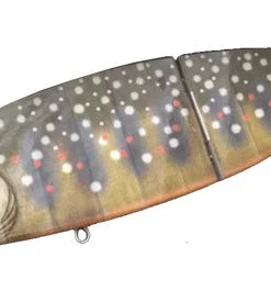 Wild Lures Wild Beat Hard Body 25 Wild Lures Wild Beat Hard Body