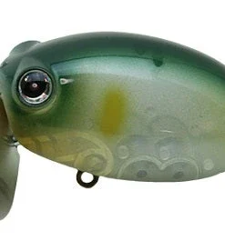 ZactCraft Zaguna Walking