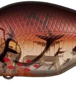 Evergreen International Shallow Diving (0-7ft.) Zeruch