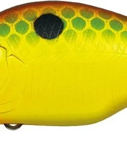 Evergreen International Shallow Diving (0-7ft.) Zeruch