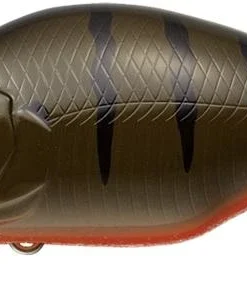 Evergreen International Shallow Diving (0-7ft.) Zeruch