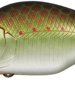 Evergreen International Shallow Diving (0-7ft.) Zeruch