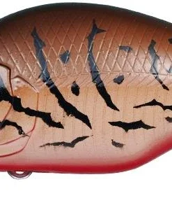 Evergreen International Shallow Diving (0-7ft.) Zeruch