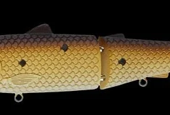 Baitsanity Antidote Glide Hard Body