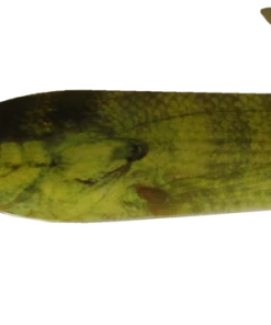 Imakatsu Big Beller 175