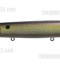 Ima Little Stick Walking 17 Ima Little Stick Walking