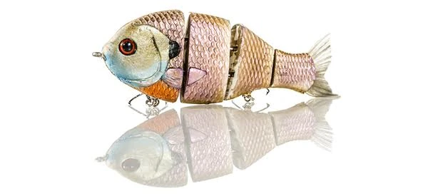 Triton Mike Bucca Hard Body Bull Gill 3 Triton Mike Bucca Hard Body Bull Gill