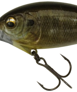 Imakatsu IK-300RS Chaos Diver Medium Diving (8-14ft.) 31 Imakatsu IK-300RS Chaos Diver Medium Diving (8-14ft.)