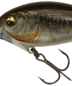 Imakatsu IK-300RS Chaos Diver Medium Diving (8-14ft.) 34 Imakatsu IK-300RS Chaos Diver Medium Diving (8-14ft.)