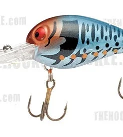 Storm Original Wiggle Wart