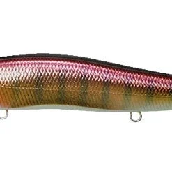 Megabass Ito Vision 110 Junior