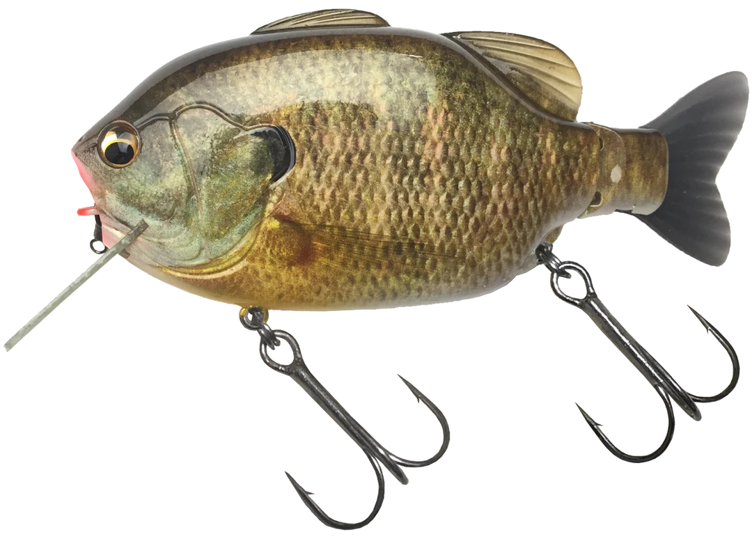 Imakatsu Hard Body Kominami Gilluchiwa 8 Imakatsu Hard Body Kominami Gilluchiwa