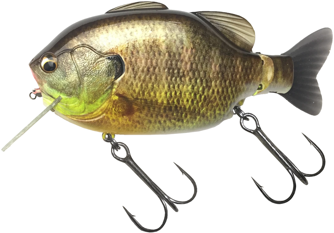 Imakatsu Hard Body Kominami Gilluchiwa 11 Imakatsu Hard Body Kominami Gilluchiwa