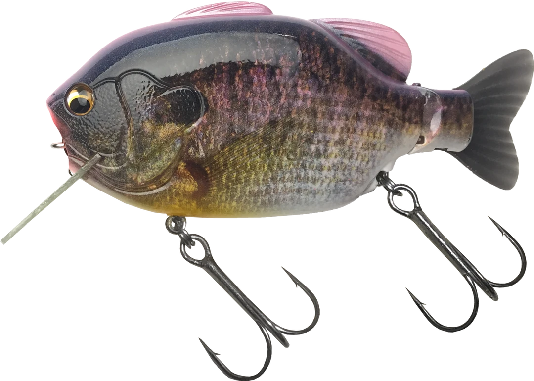 Imakatsu Hard Body Kominami Gilluchiwa 6 Imakatsu Hard Body Kominami Gilluchiwa