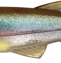 Imakatsu Huddle Swimmer